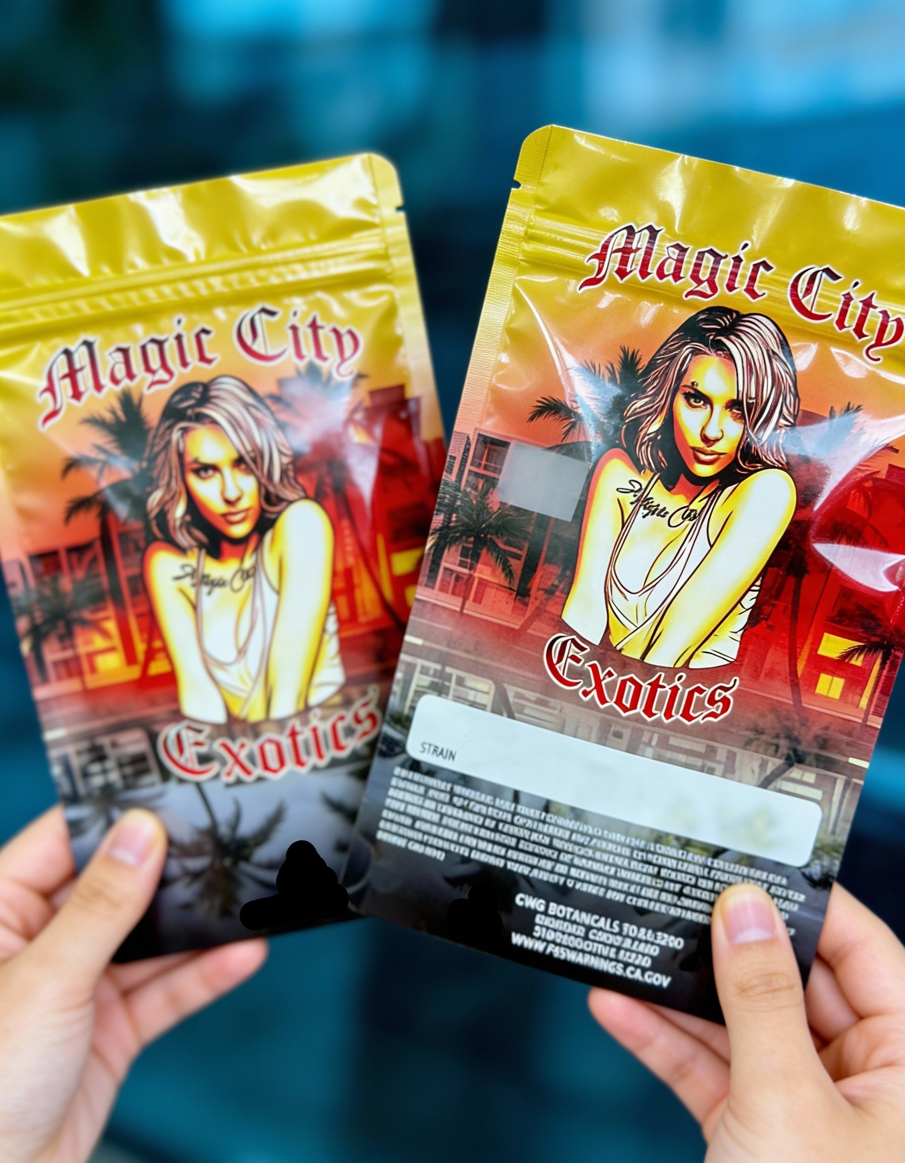 DIRECT-TO-PRINT & CUT-TO-SHAPE MYLAR BAGS